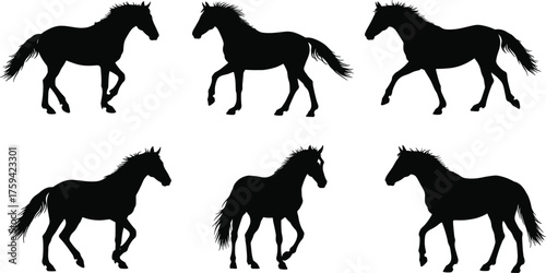 Horse silhouette vector, walking and trotting poses, black equine icon, muscular animal motion, cad drawing flat vector illustration