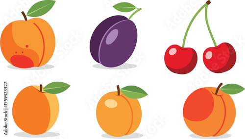 Vector art of assortment of fresh fruit