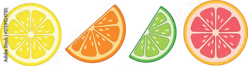 Vector art of assortment of citrus fruit slices on a