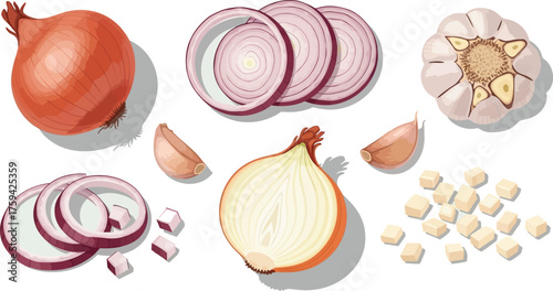 Vector art of onion and garlic ingredients for cooking, sliced and whole