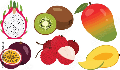 Vector art of assortment of exotic and tropical fruits including dragon fruit, kiwi, mango, lychee
