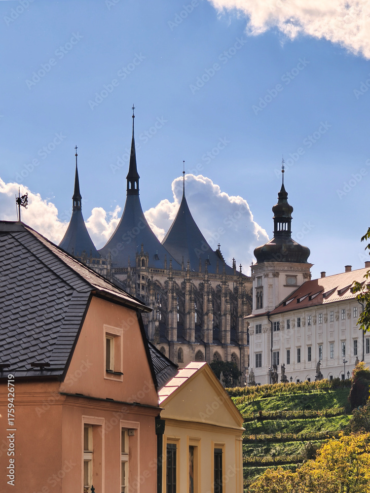 Fototapeta premium Ansicht auf den St. Barbara-Dom über den Weinhängen