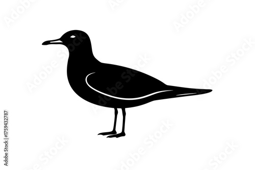 A simple black silhouette of a seagull standing on a white background