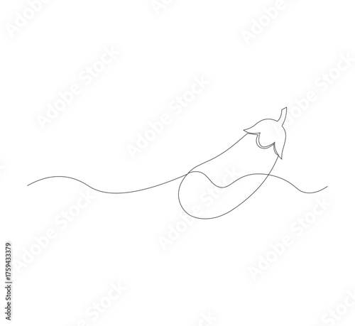 continuous line image eggplant , simple icon in scribble style, fresh vegetable. Vector illustration on white isolated background.