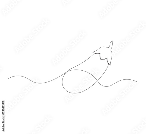 continuous line image eggplant , simple icon in scribble style, fresh vegetable. Vector illustration on white isolated background.