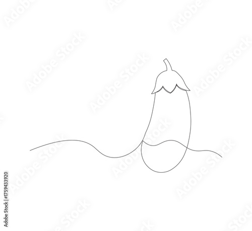 continuous line image eggplant , simple icon in scribble style, fresh vegetable. Vector illustration on white isolated background.