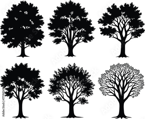 Deciduous tree silhouette set, botanical canopy variation, nature illustration pack, seasonal foliage study, cad drawing flat vector illustration, design element