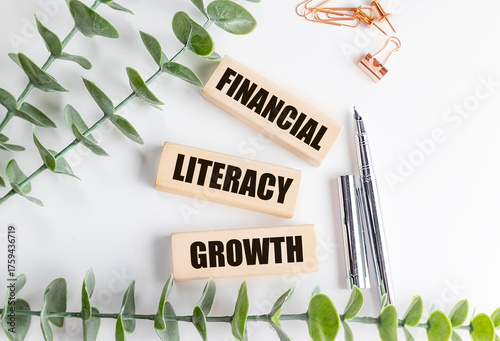 Financial literacy growth text on wooden blocks with pens, stationery and green leaves on white background