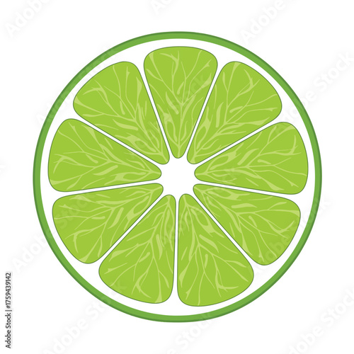 Vibrant Green Lime Slice with Juicy Segments and White Pith 1.