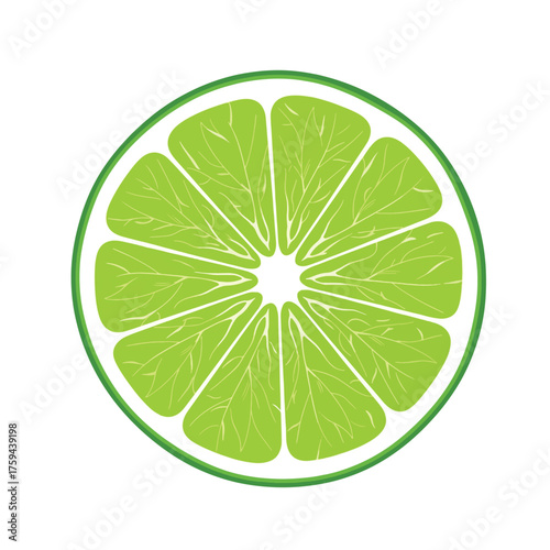 Vibrant Green Lime Slice with Juicy Segments and White Pith.