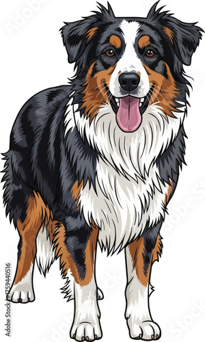 English Shepherd dog standing facing front cute vector illustration