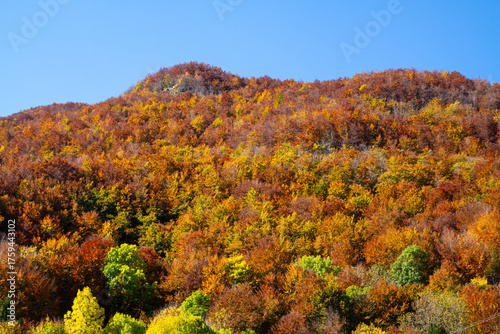 autumn colors, Frignano Regional Park, Lake Santo, Lake Baccio, colorful forests, Pievepelago, Modena