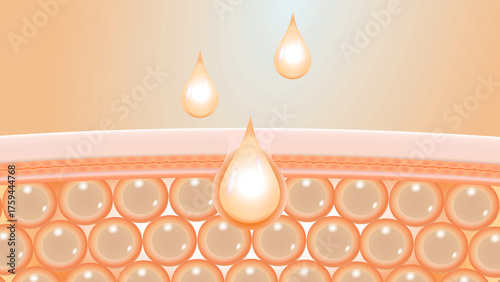 Active Ingredients Penetrating Dermal Layers for Skin Repair