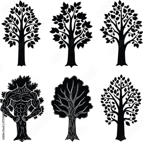 Stylized tree silhouettes, fantasy tree illustration, anthropomorphic trunk design, botanical vector set, nature concept art, creative foliage, character symbolism