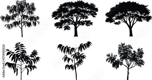 Tree silhouette collection, botanical vector set, diverse tree shapes, foliage forms, ecological design, cad drawing flat vector illustration
