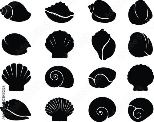 Vector seashells different shapes black and white silhouette illustration