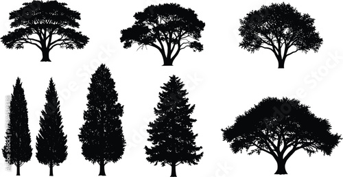 Tree silhouette collection, botanical vector set, deciduous and conifer shapes, nature illustration pack, forest graphics, foliage icons
