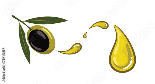 Fresh olives with oil droplets and leaves on a branch signifying healthy cooking and food.