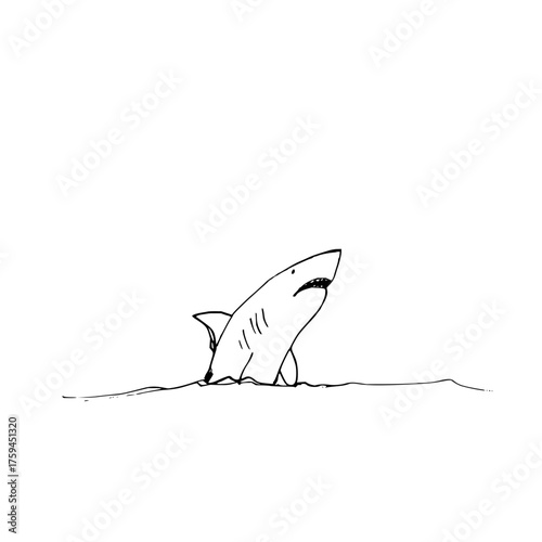 A simple black and white line drawing of a shark emerging from the water with its fin visible too