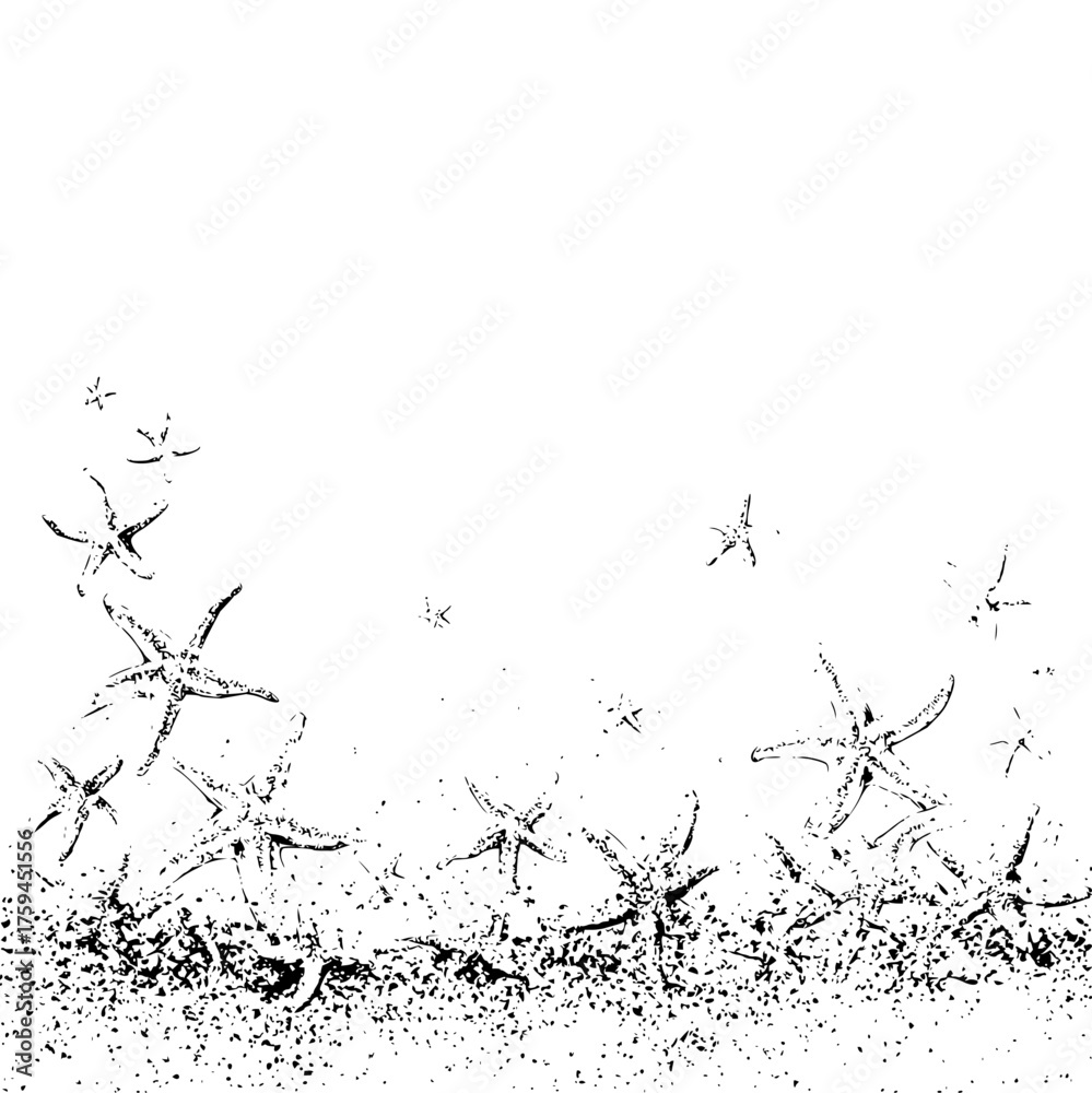 Obraz premium Starfish scattered on the sand with some floating above in a monochromatic black and white illustration