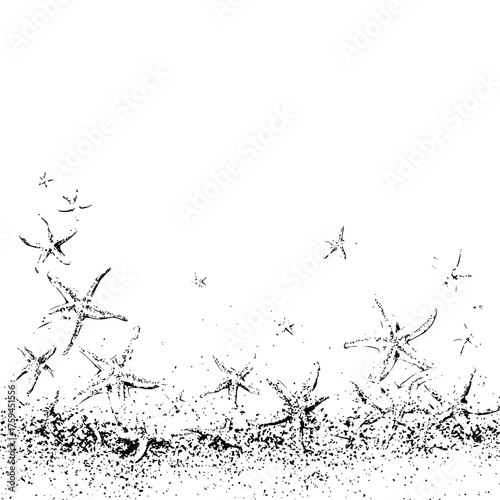 Starfish scattered on the sand with some floating above in a monochromatic black and white illustration