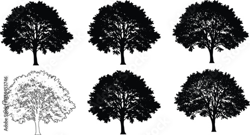 Tree silhouette set, botanical foliage variation, artistic canopy forms, nature illustration pack, cad drawing flat vector illustration, ecological design