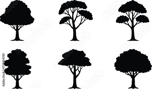 Tree silhouette set, botanical vector illustration, black tree shapes, nature design elements, canopy structure graphics, forest icons