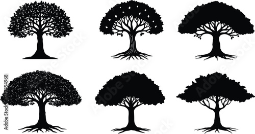 Tree silhouette set, botanical vector illustration, black tree shapes, nature design elements, canopy and root graphics, forest texture icons