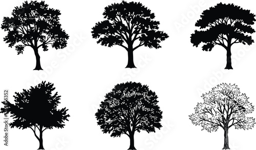 Tree silhouette set, botanical vector illustration, black tree shapes, nature design elements, forest canopy graphics, foliage texture icons