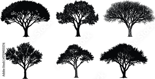 Tree silhouette set, botanical vector illustration, black tree shapes, nature design elements, forest canopy graphics, foliage texture icons
