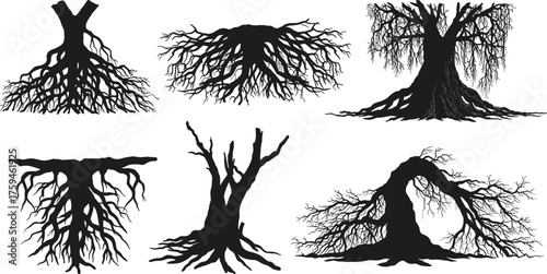Tree root silhouette set, botanical vector illustration, black tree shapes, nature design elements, expressive trunk graphics, forest artwork