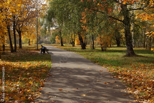 Fototapeta Naklejka Na Ścianę i Meble -  walk in the park