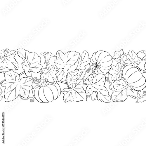 Pumpkin Plant with Flowers, Fruits and Leaves Outline Horizontal Seamless Pattern. Organic natural nutritional healthy food ingredient, vegetarian diet product. Vector isolated for design or decoratio