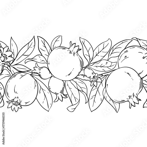 Pomegranate Branch with Flowers, Fruits and Leaves Outline Horizontal Seamless Pattern. Organic natural nutritional healthy food ingredient, vegetarian diet product. Vector isolated for design or deco