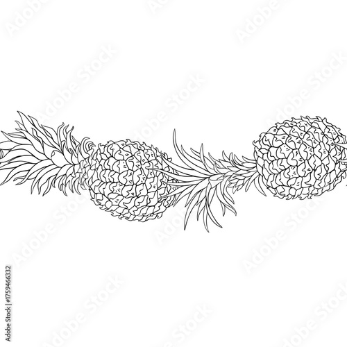 Pineapple Fruits with Leaves Outline Horizontal Seamless Pattern. Organic natural nutritional healthy food ingredient, vegetarian diet product. Vector isolated for design or decoration.