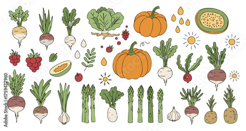 Abundant Fresh Vegetables and Healthy Produce Hand-Drawn Doodles Set