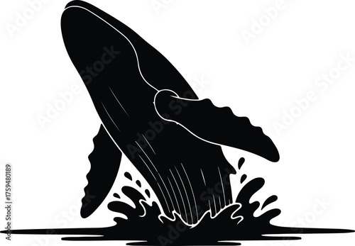 Vector breaching humpback whale jumping out of water silhouette illustration