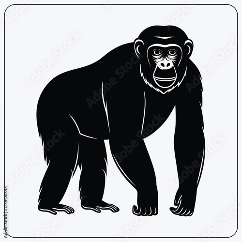 Stylized chimpanzee illustration. Black and white great ape graphic. Vector symbol for a zoo, primate center, or wildlife logo.
