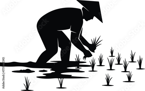 Vector Farmer planting rice in paddy field silhouette illustration
