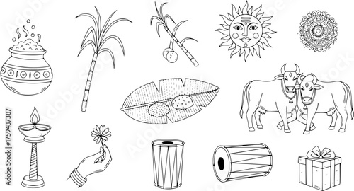 Pongal  Makar Sankranti festival elements outline. Traditional Indian harvest celebration symbols: sun, sugarcane, cows, food, drums, lamp, pot. Doodle vector set.