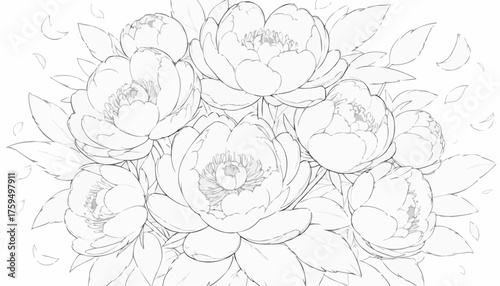 Peony composition coloring page featuring lush petals and leaves for creative relaxation
