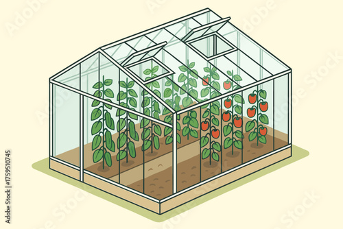 Rows windows vector peppers ventilation rooftop greenhouse isometric growing illustration cucumbers