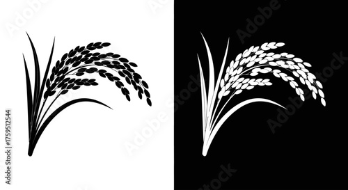 A graphic silhouette of a rice plant ear with grains, shown in black on white and white on black.
