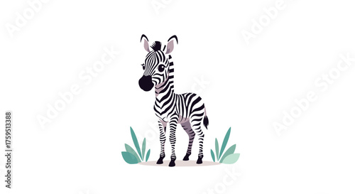 A cute cartoon baby zebra stands in a grassy field with a white background.