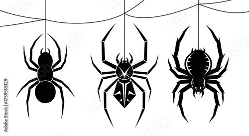 Three silhouettes of spiders hanging from thin strands of web against white isolated on white background