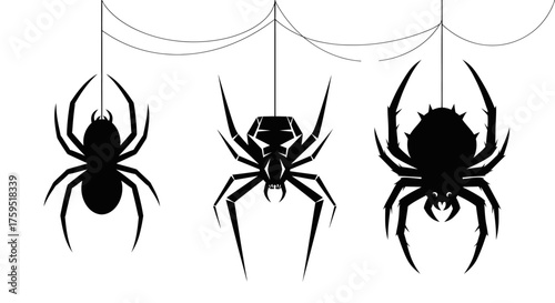 Three spooky silhouetted spiders hanging suspended on threads against a white canvas creating a frightening halloween atmosphere isolated on white background