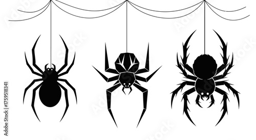 Three silhouetted spiders hanging by threads from a spiderweb for halloween and horror concepts isolated on white background