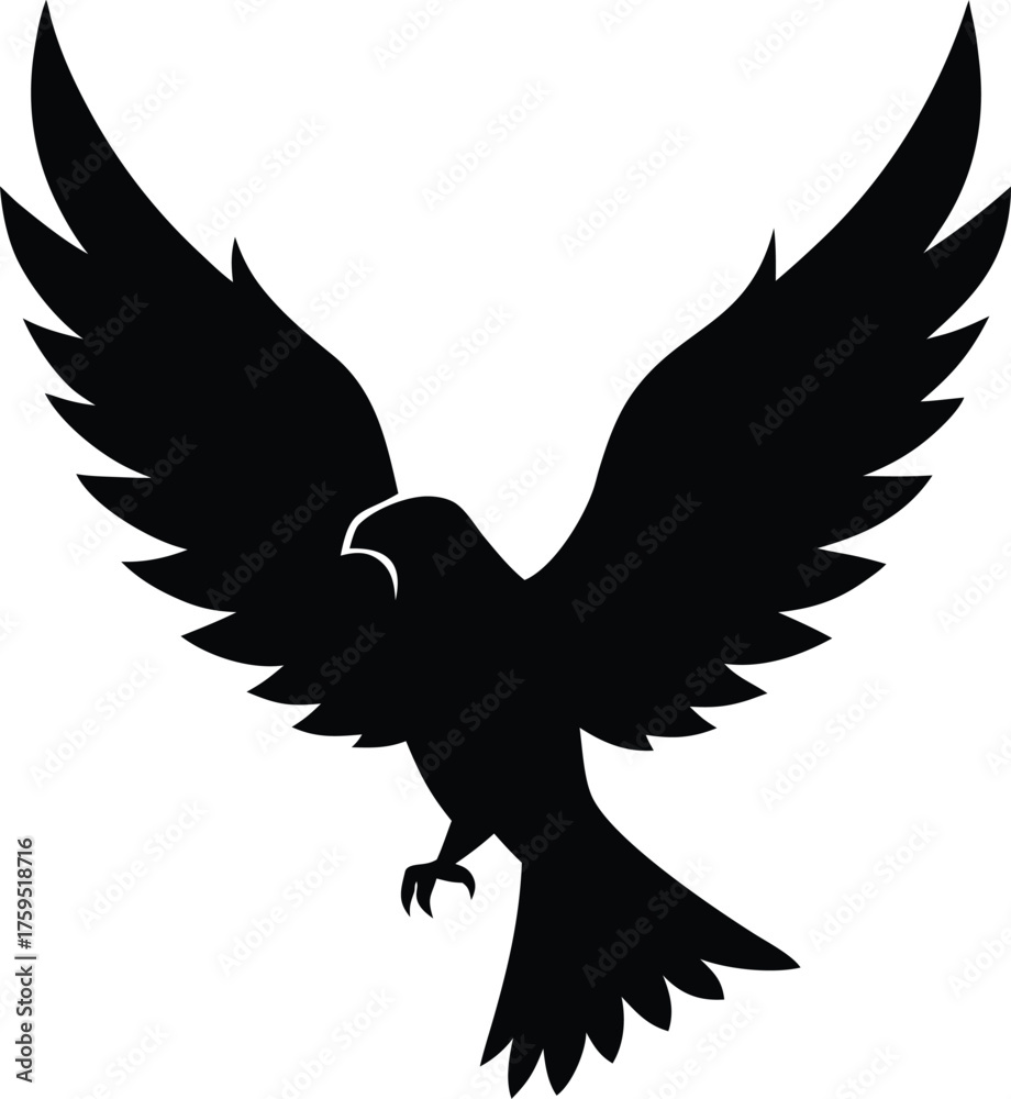 Obraz premium Silhouette eagle in flight silhouette