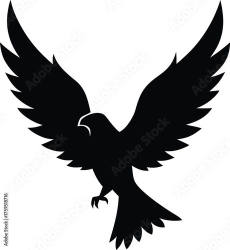Silhouette eagle in flight silhouette