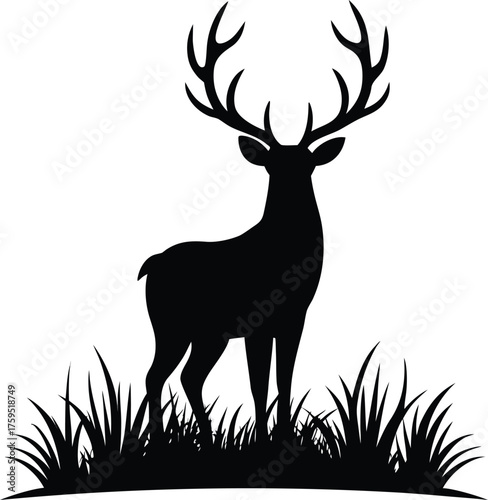 Deer silhouette on grass silhouette